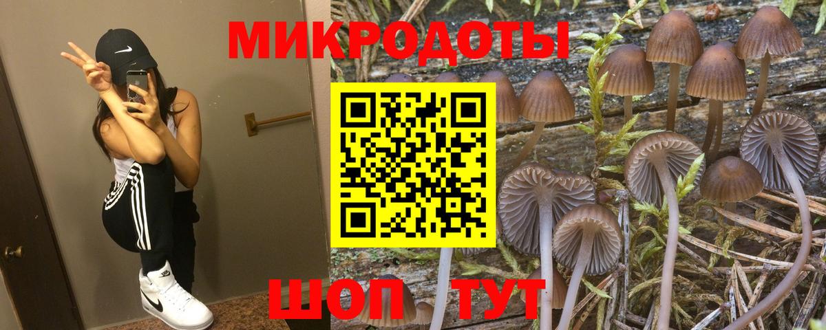 Елабуга  Галлюциногенные грибы прущие грибы  Вход с VPN  Галлюциногенные грибы Psilocybine cubensis 
